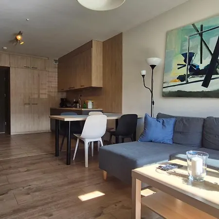 Z Widokiem Na Sniezke Apartment *