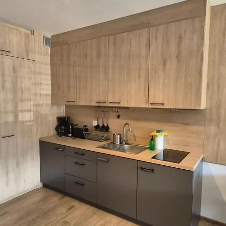 아파트 Z Widokiem Na Sniezke *